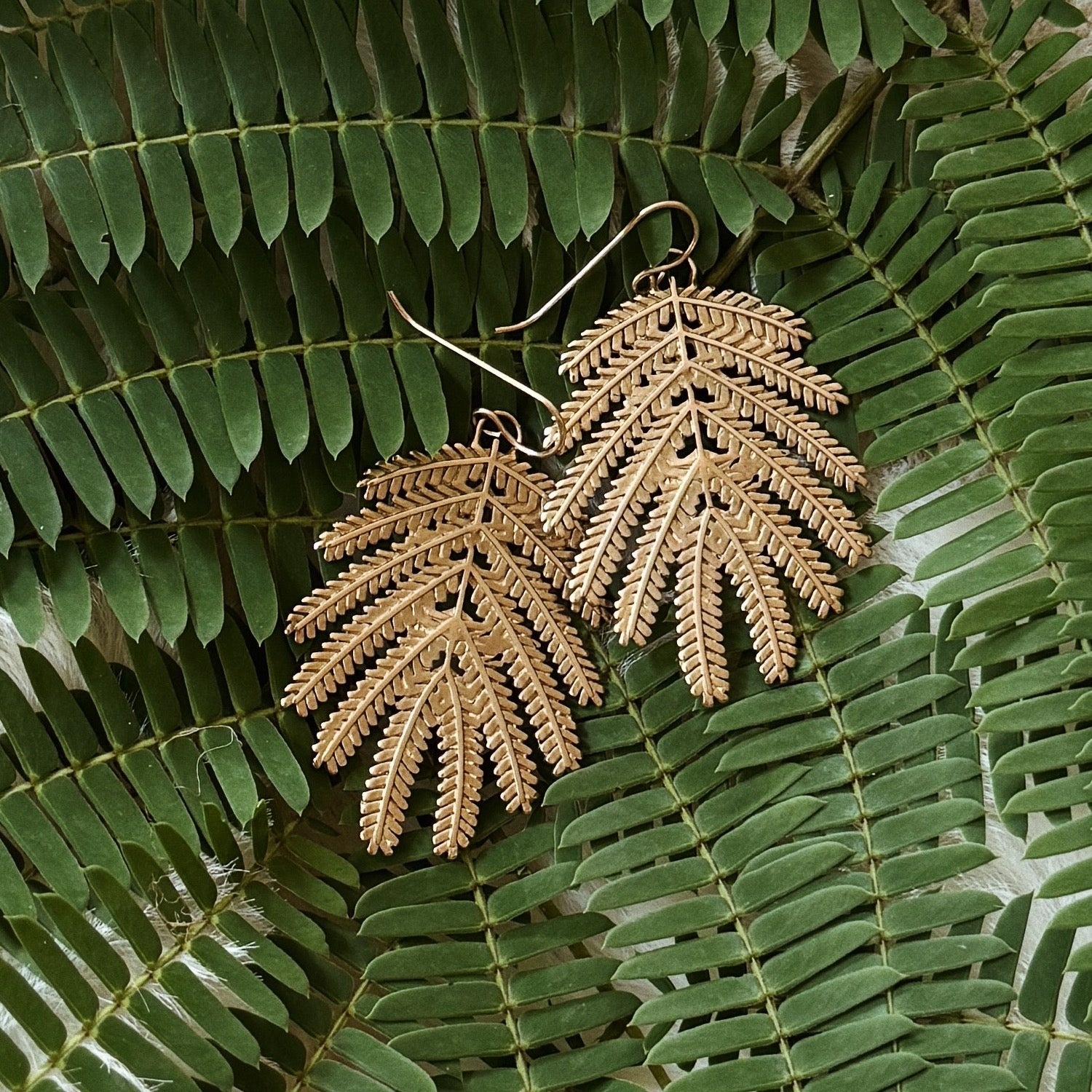 MIMOSA Handcrafted's Bronze Mimosa Leaf Jewelry
