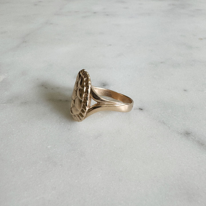 Turtle Ring in Bronze | MIMOSA Handcrafted