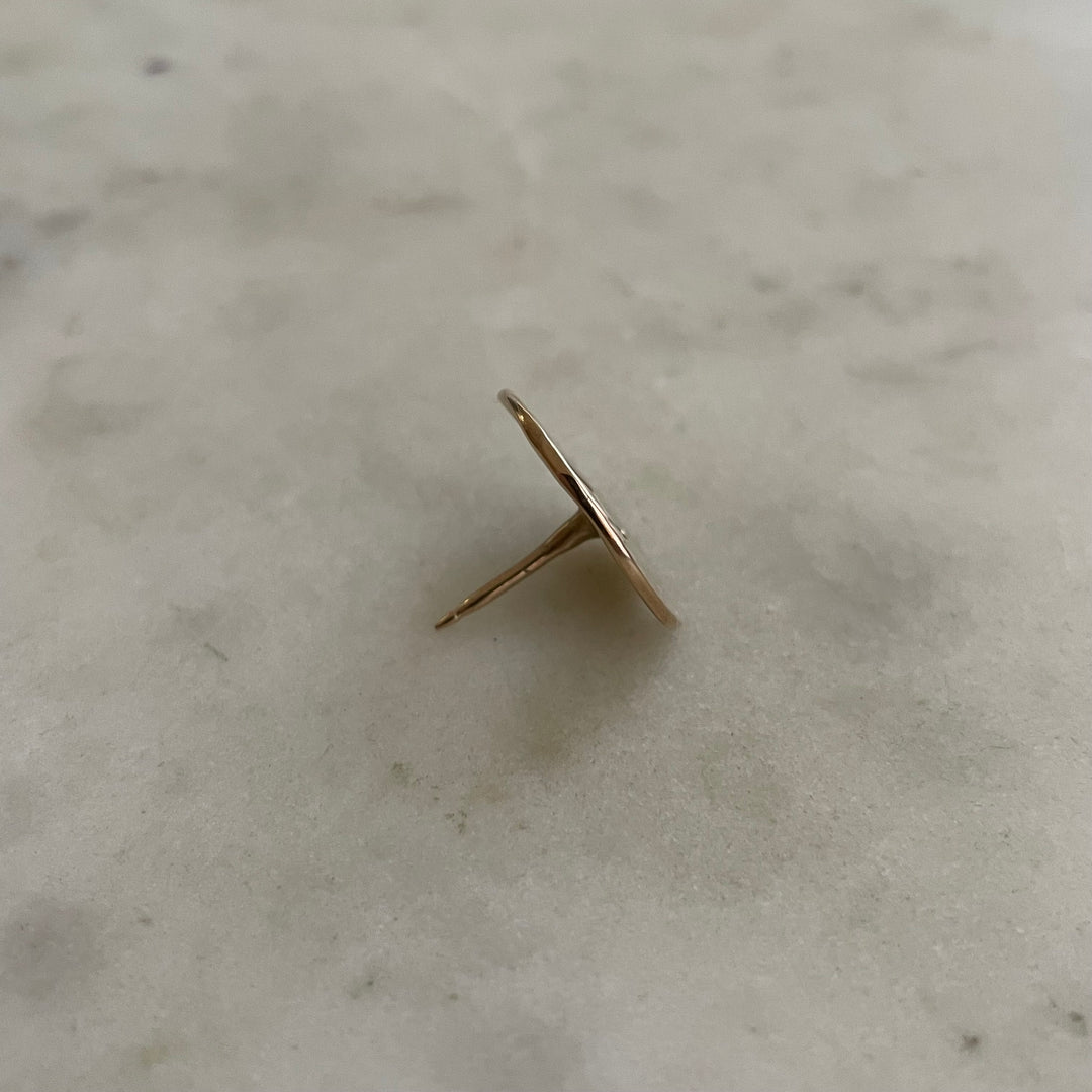 MIMOSA Handcrafted Pelican Pin in Bronze