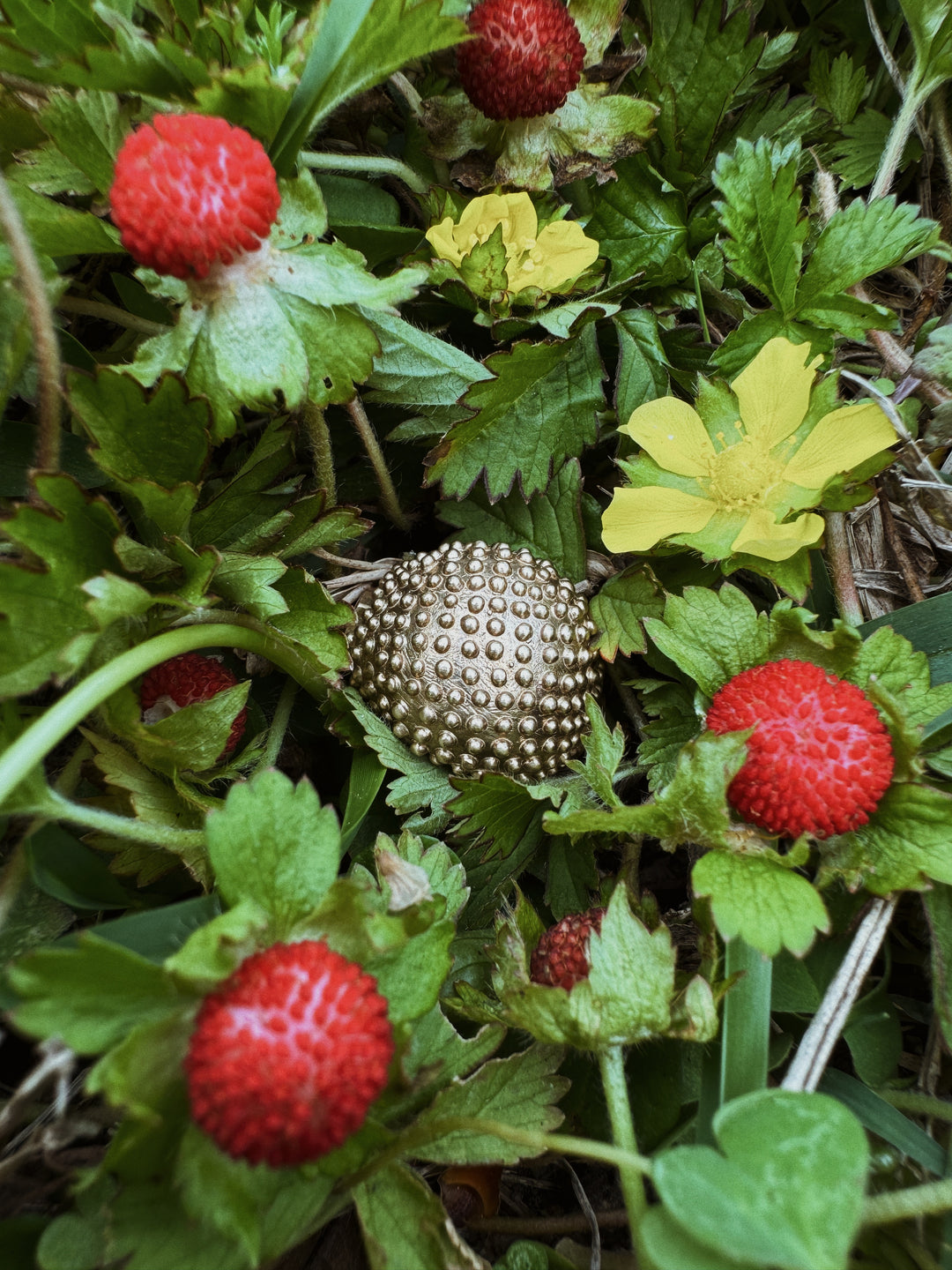 The MIMOSA Handcrafted Mock Strawberry Ring Alongside Real Mock Strawberries