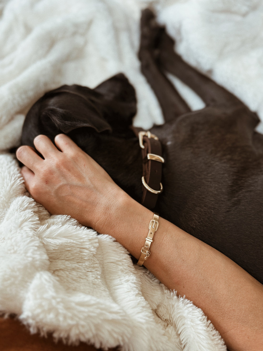 Madeline Wears the Pet Collar Bracelet Next to Her Dog Josey
