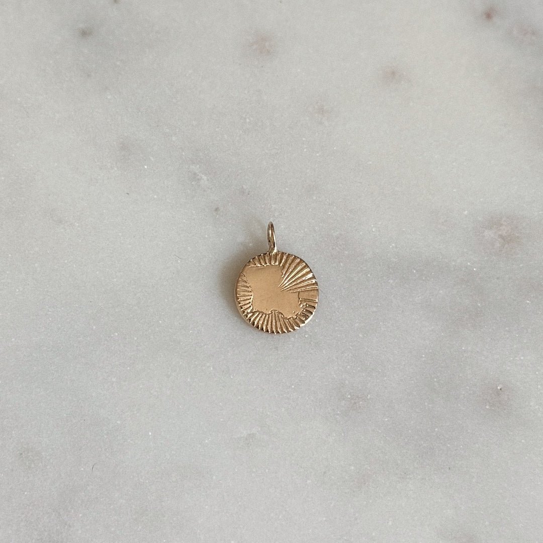 MIMOSA Handcrafted Bronze Louisiana Burst Pendant