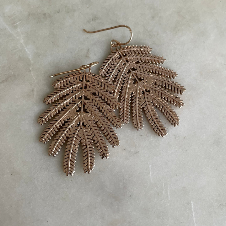 Handmade Bronze Large Mimosa Leaf Earrings on Gold-Filled Ear Wires