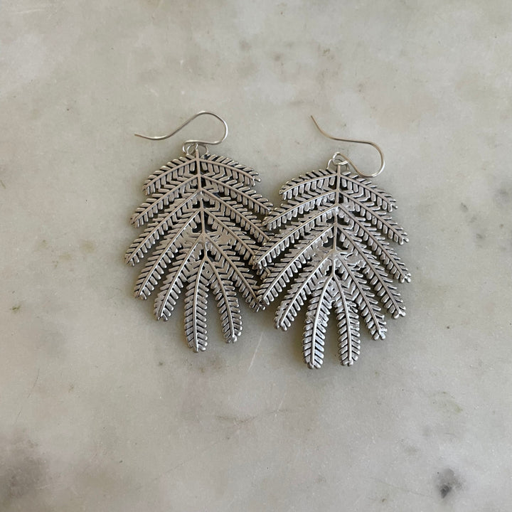 Handmade Silver Large Mimosa Leaf Earrings on Silver Ear Wires