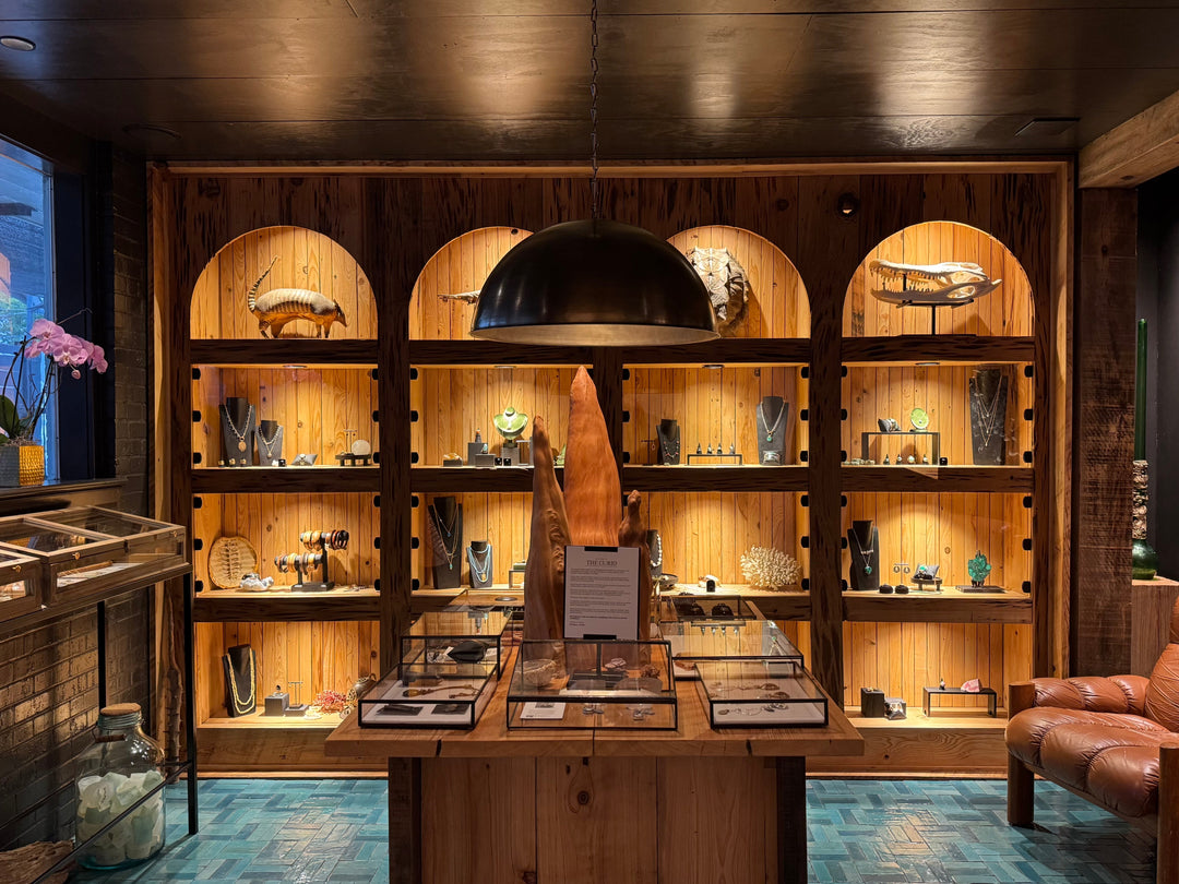 The Curio at MIMOSA Handcrafted