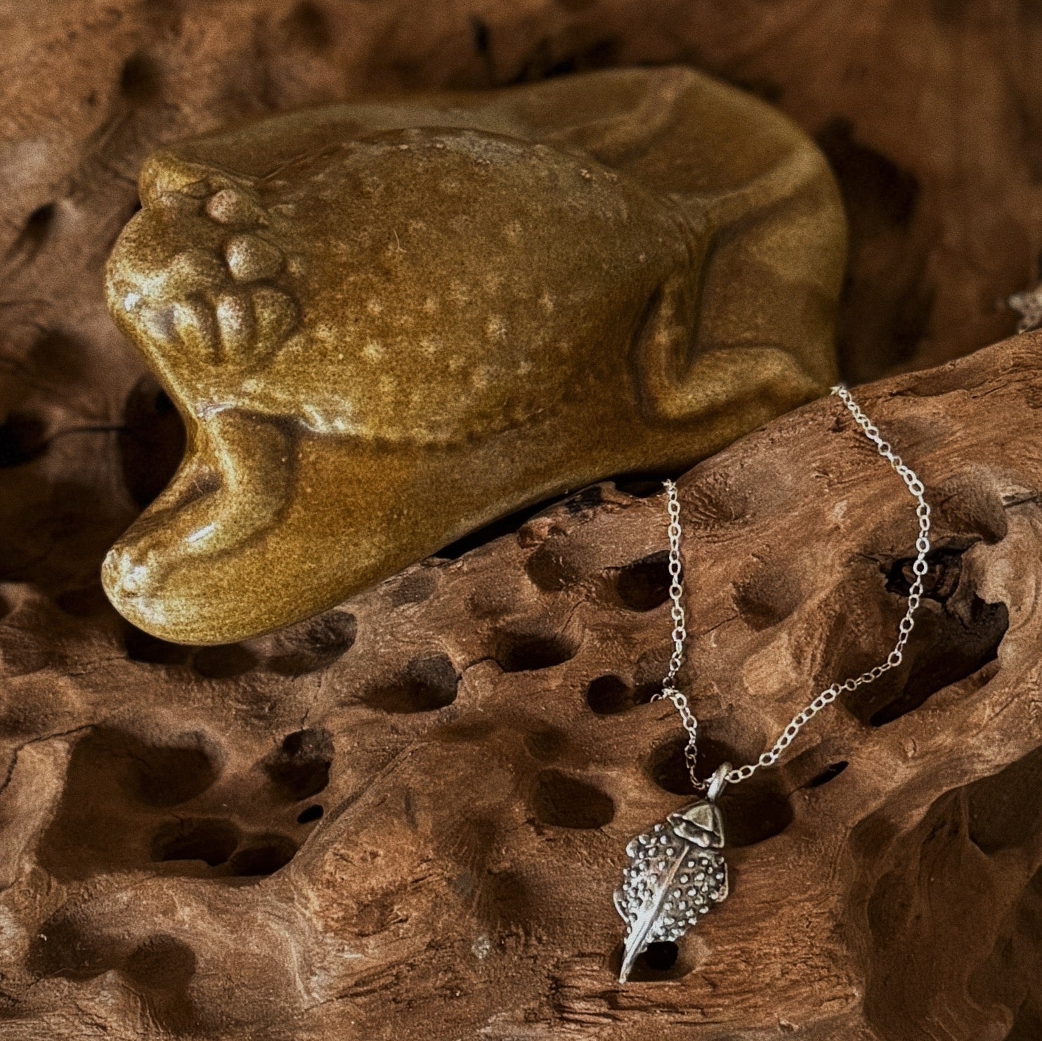 The Horned Toad Collection: A Texas Legend