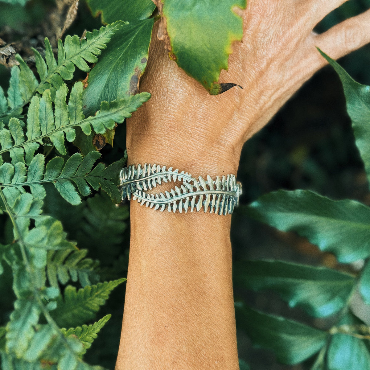 FERN COLLECTION