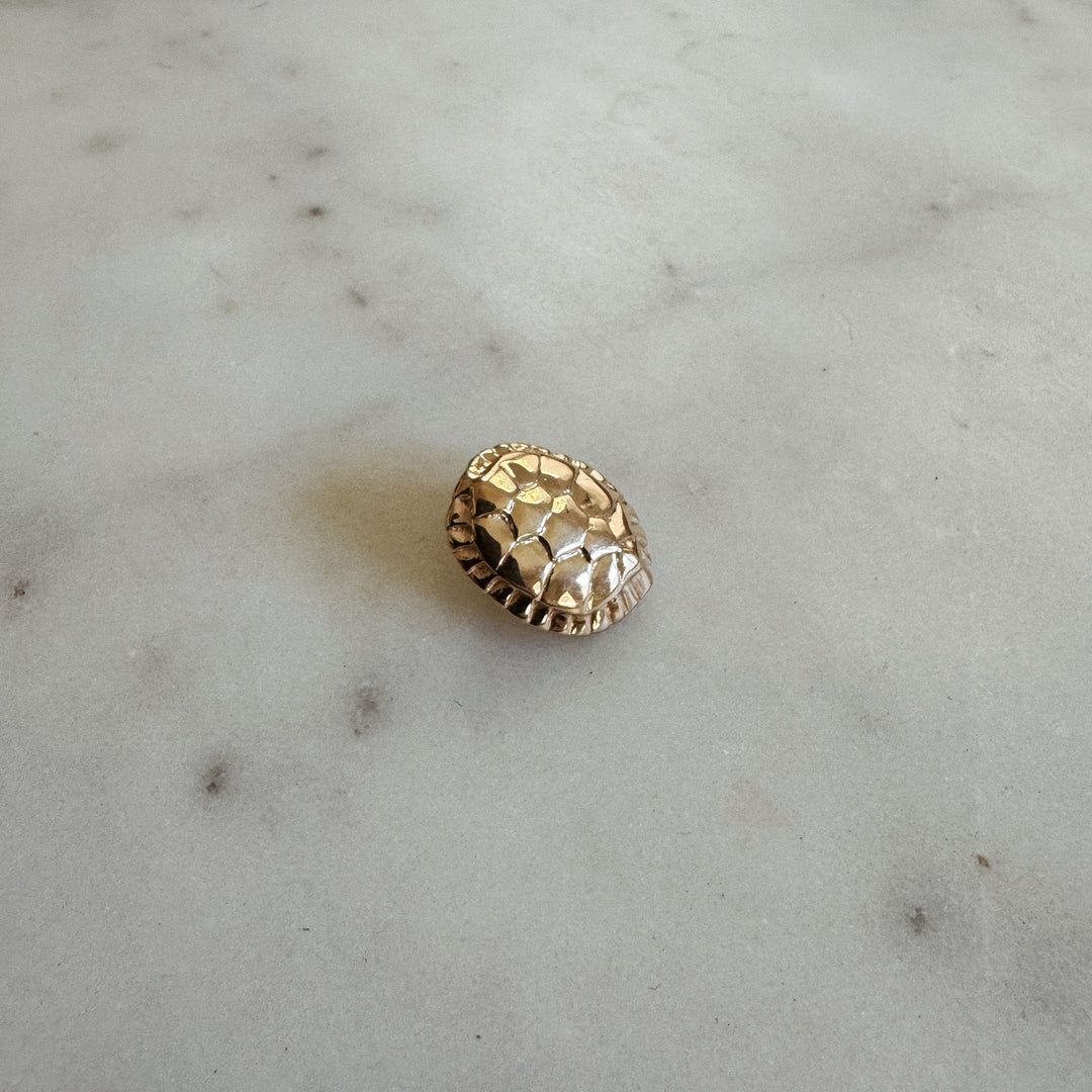 MIMOSA Handcrafted Bronze Turtle Pin