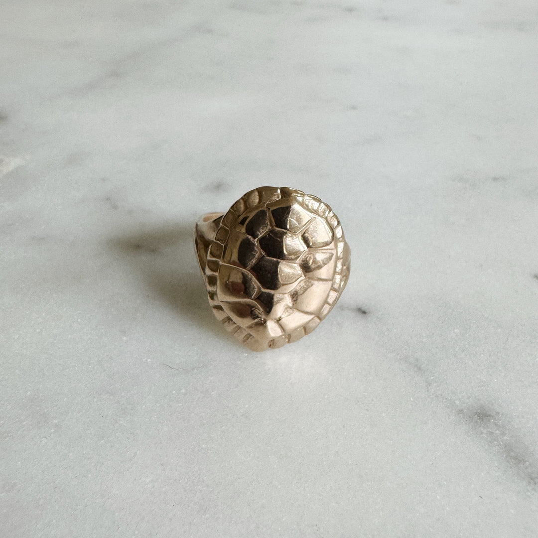 Turtle Ring in Bronze | MIMOSA Handcrafted