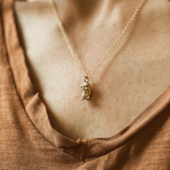 Opossum necklace in bronze