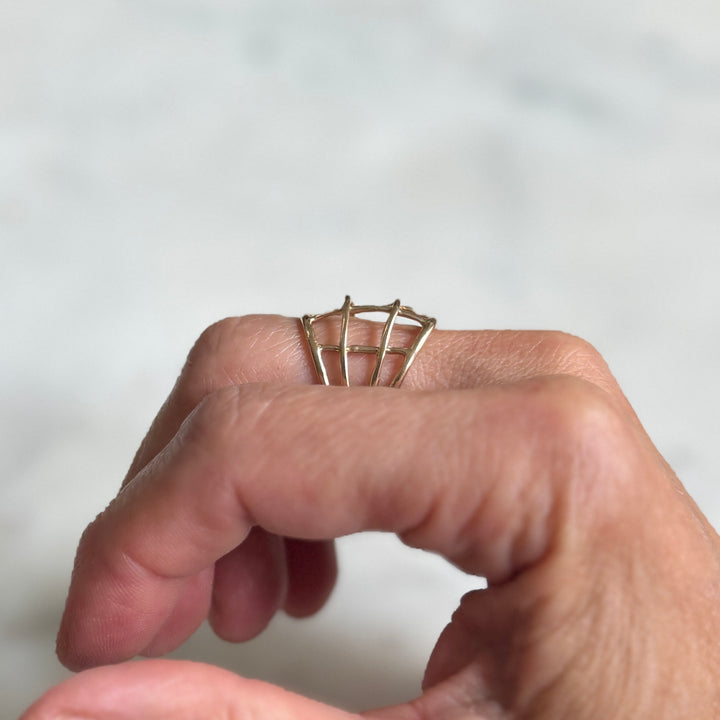 MIMOSA&