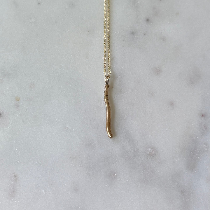 Earthworm Necklace in Bronze 