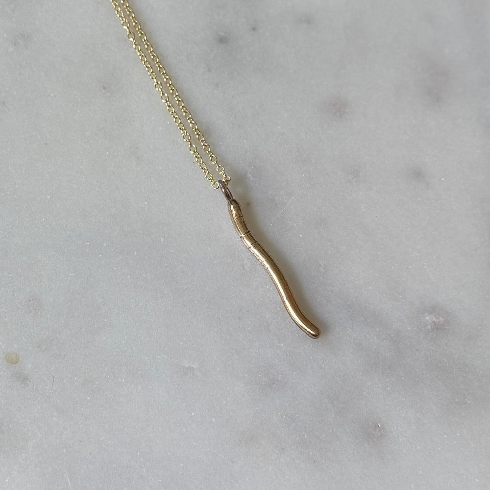 Earthworm Necklace in Bronze 