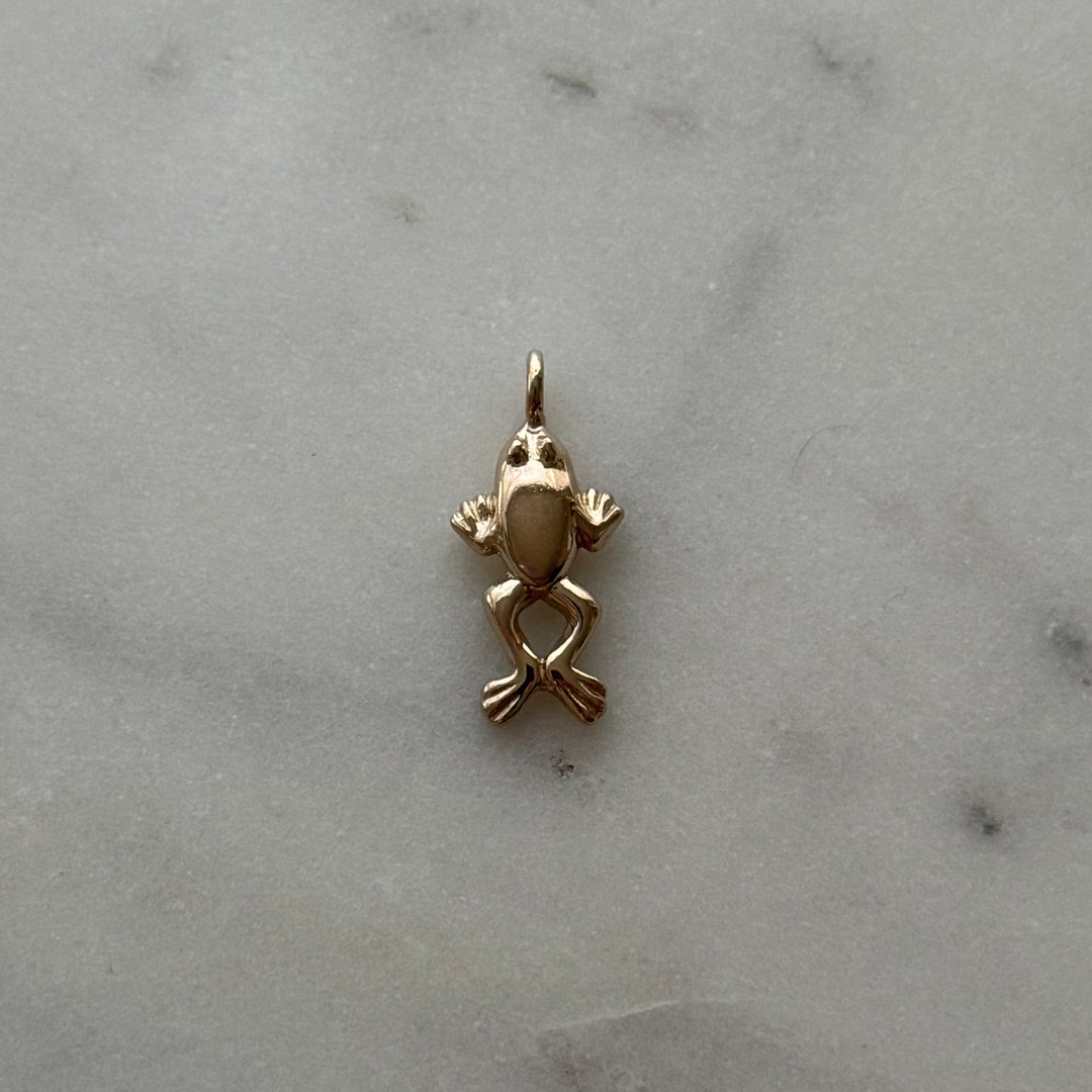 Frog Pendant in bronze