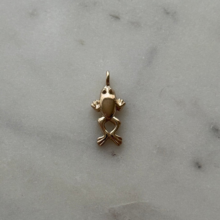 Frog Pendant in bronze