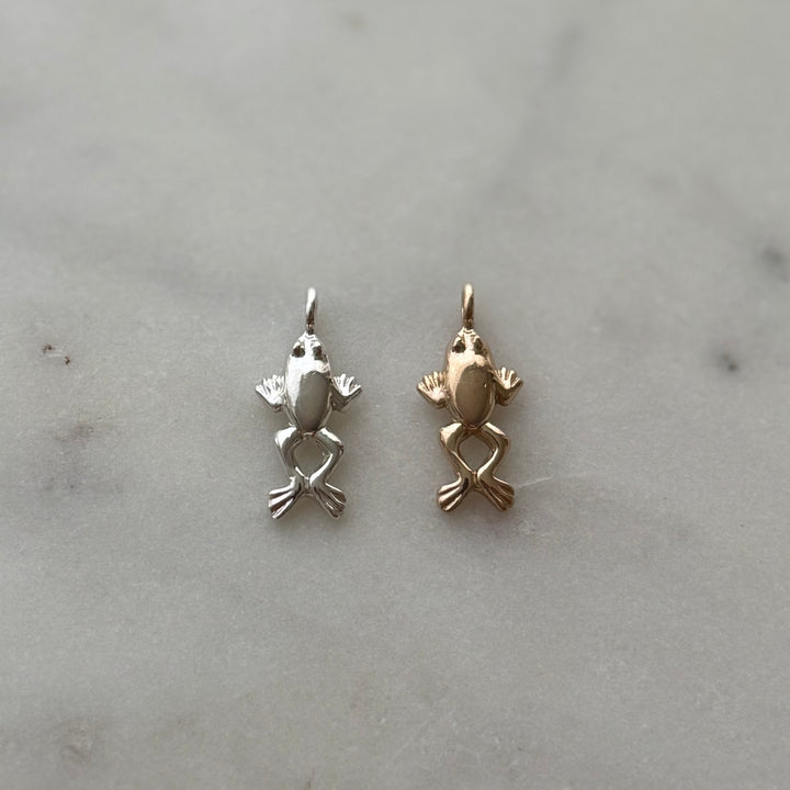Frog Pendant in bronze and sterling silver 