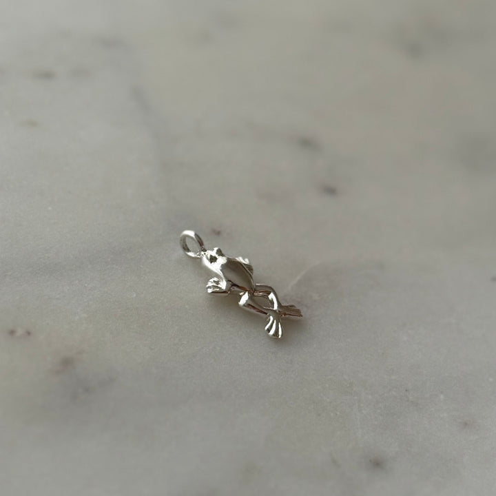 Frog Pendant in sterling silver 