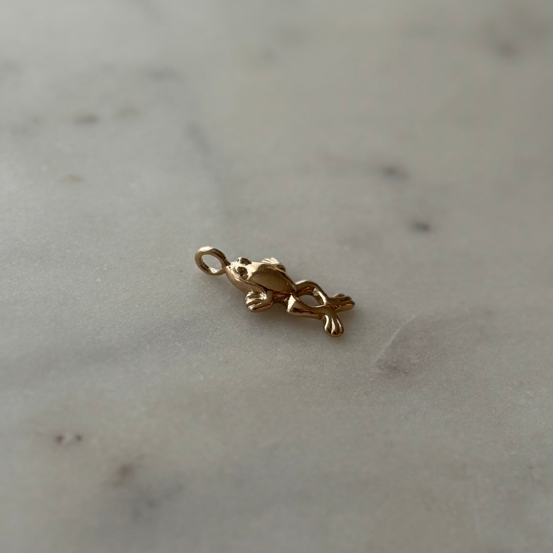 Frog Pendant in bronze