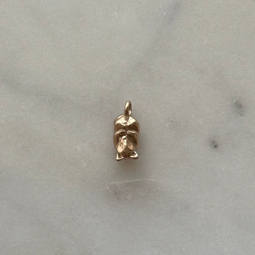 Opossum pendant in bronze