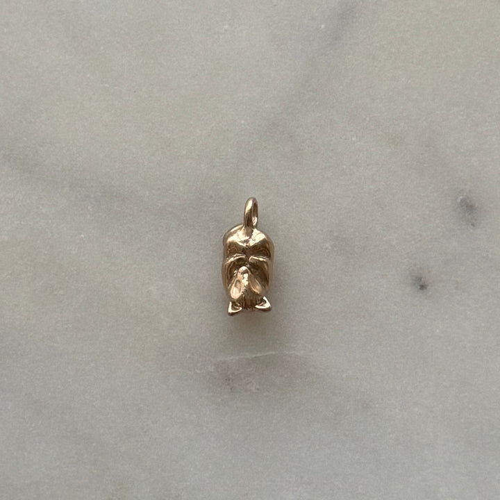 Opossum pendant in bronze