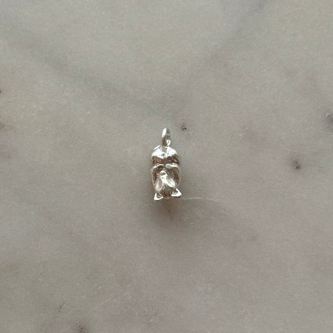 Opossum pendant in sterling silver 