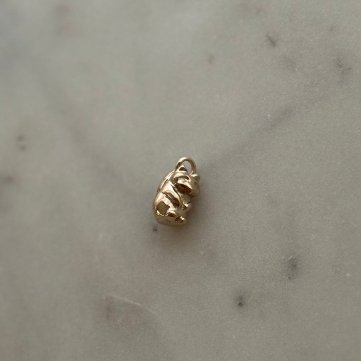 Raccoon pendant in bronze 