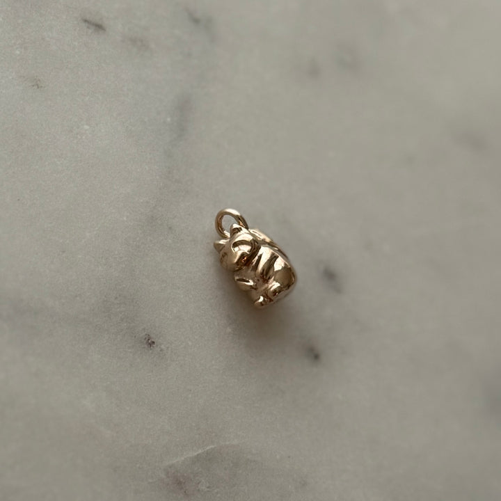 Raccoon pendant in bronze 