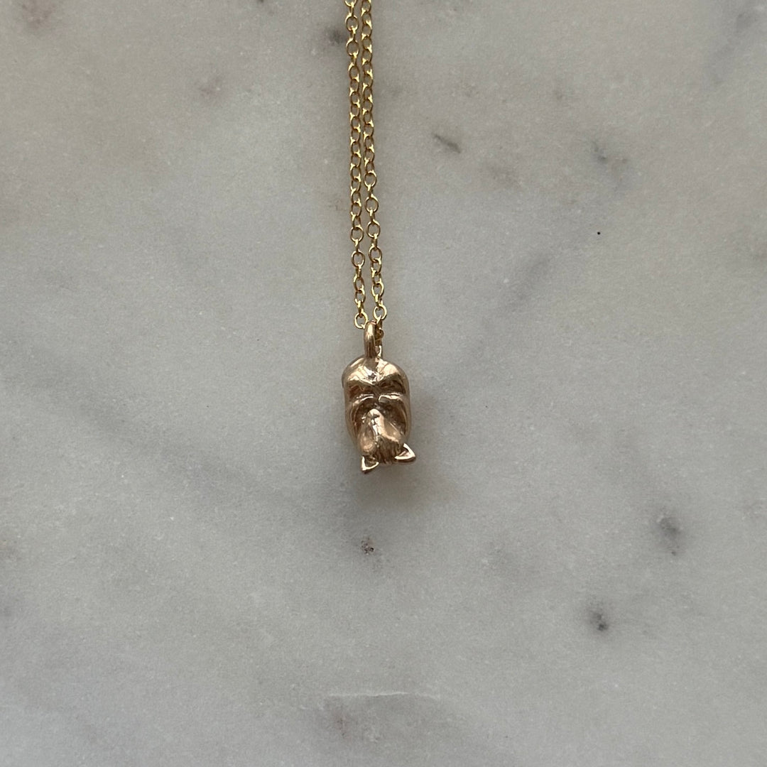 Opossum necklace in bronze