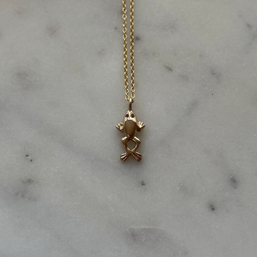 Frog Necklace in bronze