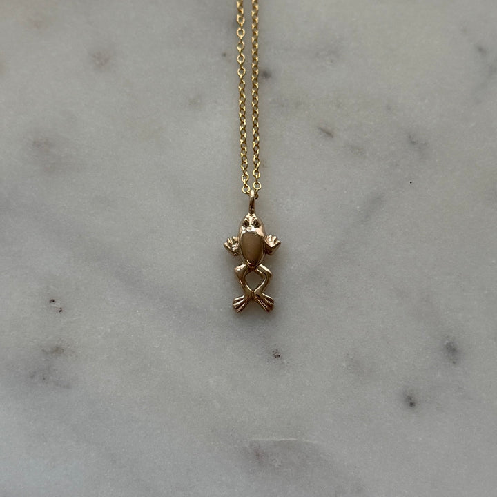 Frog Necklace in bronze