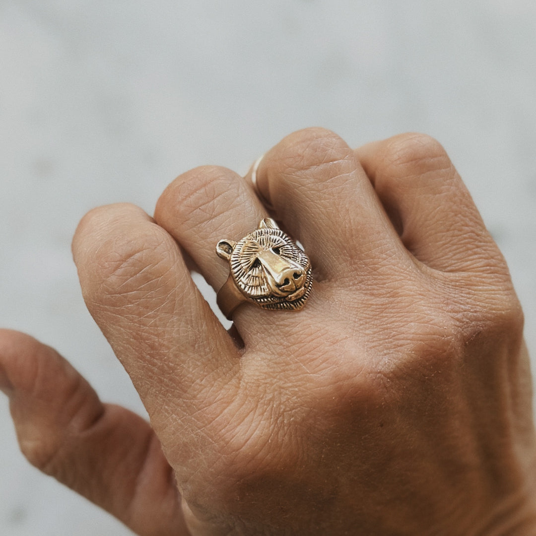 Hand Wearing Bear Head Ring in Bronze