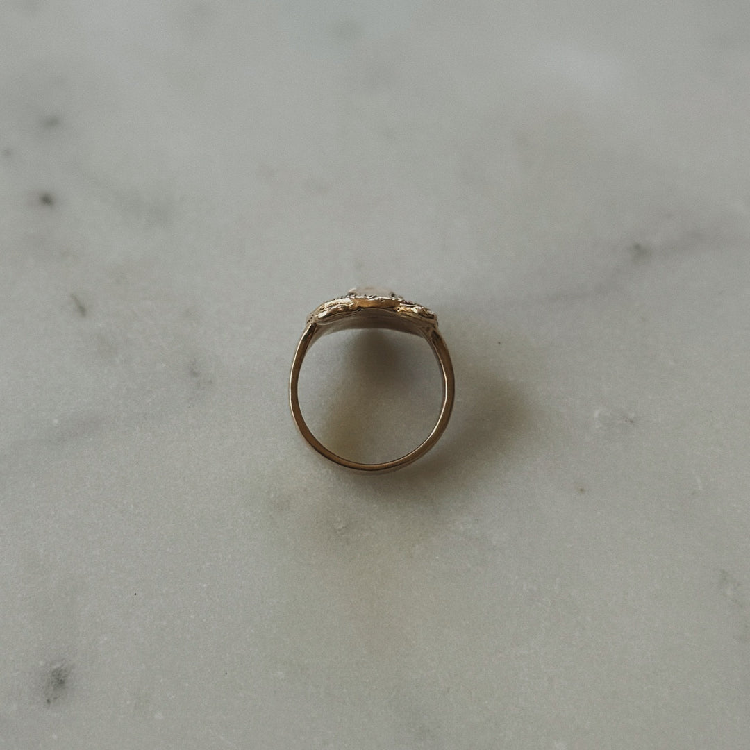 Bear Head Ring in Bronze