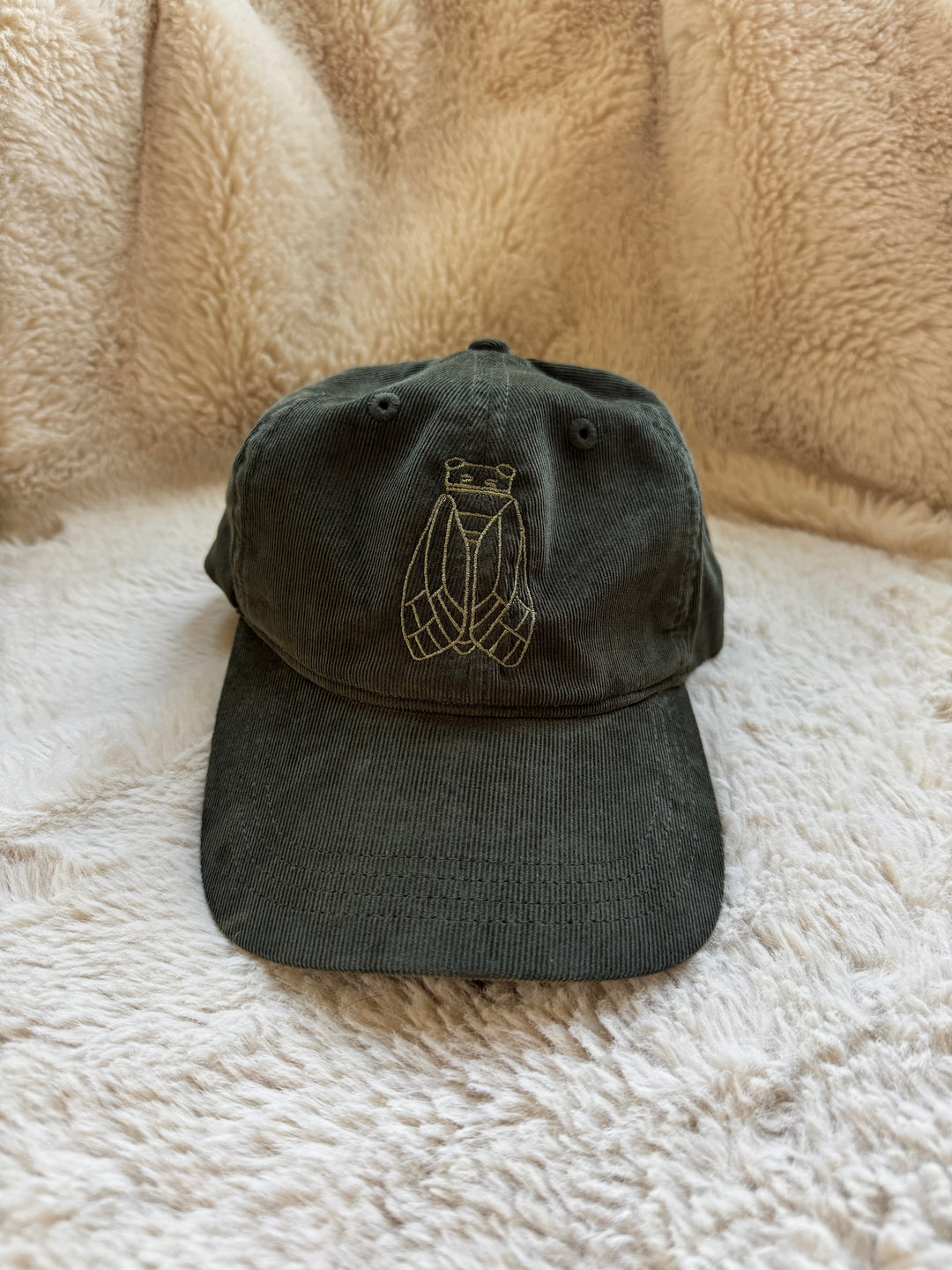 CICADA HAT
