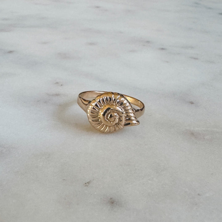 Bronze Snail Shell Ring