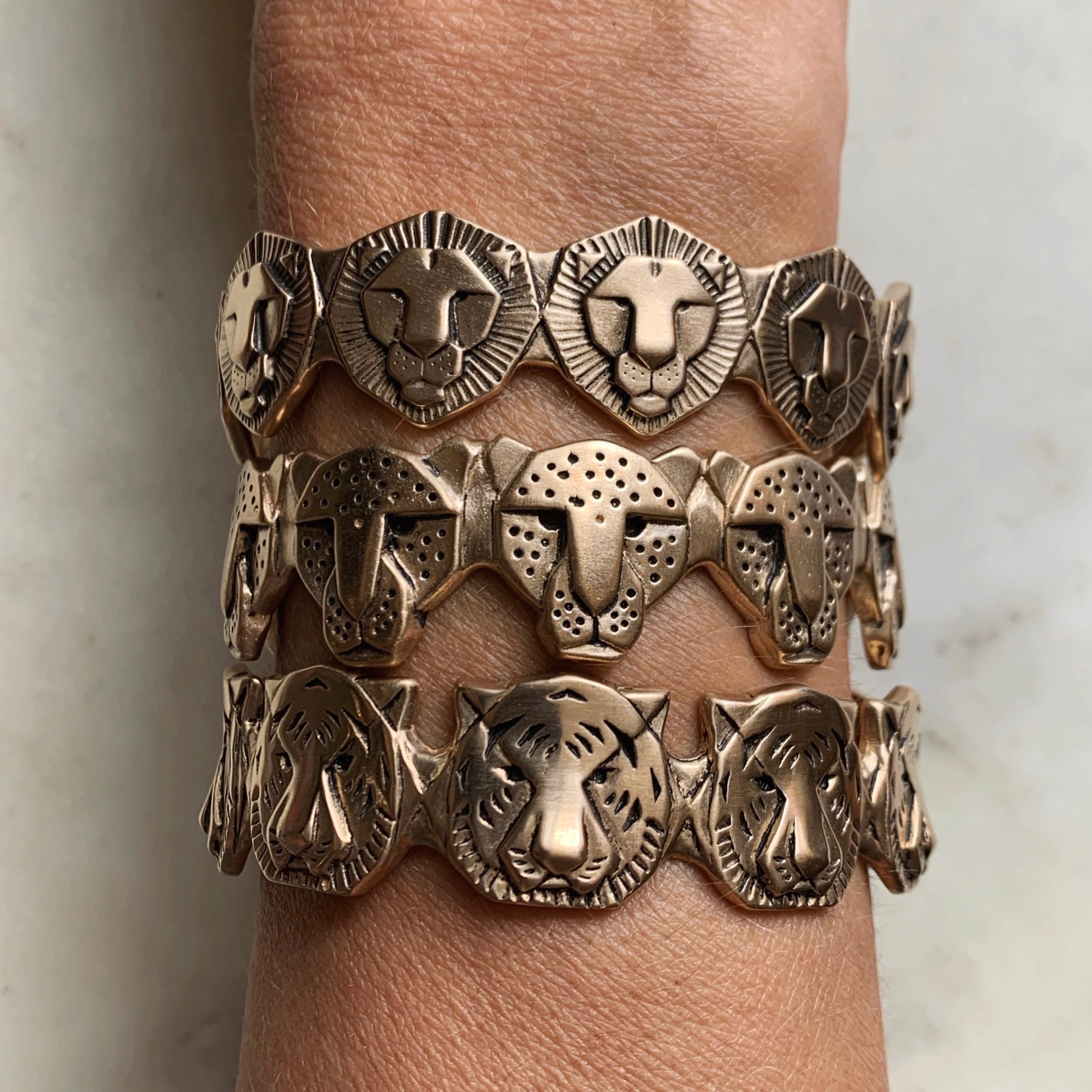 What Does the Lion Symbolize? – Himalaya Jewelry