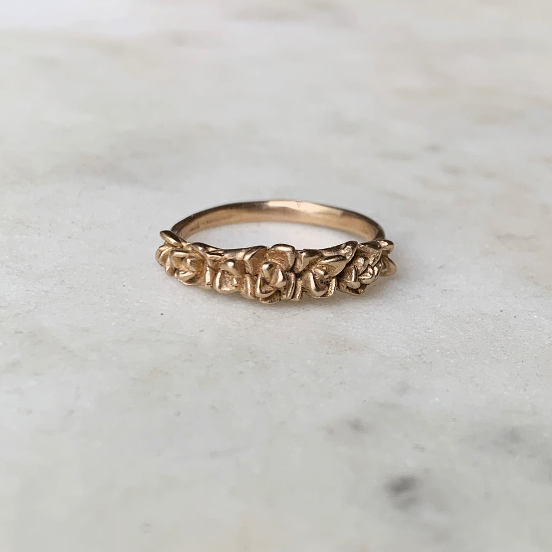 ring plant succulent Succulent Ring